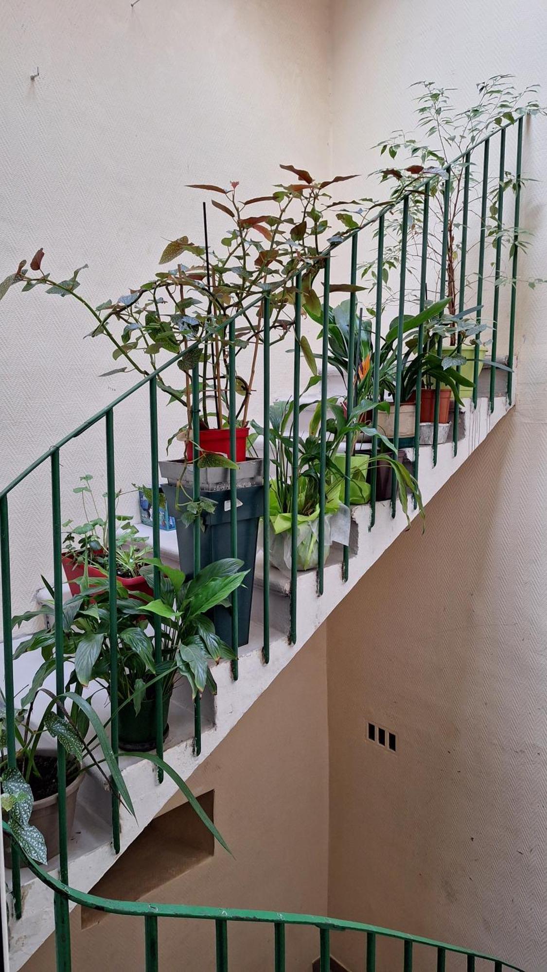 Vacance Et Cure Dans Duplex 80 M2 A Ceret 66400 Exterior foto